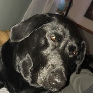 Meet your Posher, Hanna